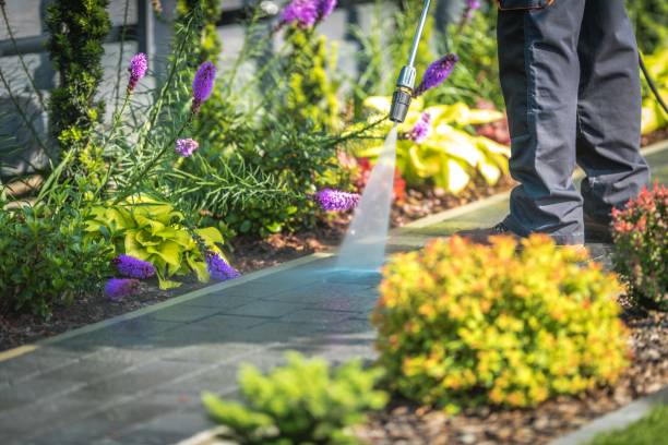 Best Driveway Cleaning and Restoration in Wilson, WY